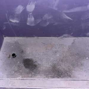 vicodesignrenovation_1721965636_3420418122311721898_63886395855