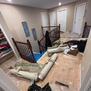 vicodesignrenovation_1732404910_3507989106941663430_63886395855